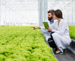 Normativa de Conservación de los Alimentos y Aplicación a los Equipos de Control.